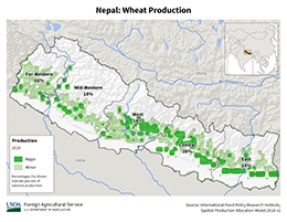 images\NP\cropprod\Nepal_Wheat_preview.png